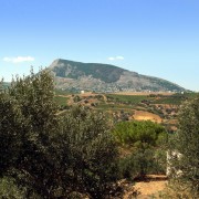 monte bonifato