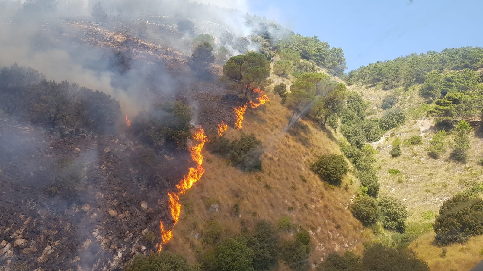 1596382903-0-gli-incendi-in-provincia-di-trapani-il-pd-regione-intervenga-per-tutelare-il-patrimonio-boschivo