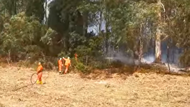 Bosco Scorace incendio