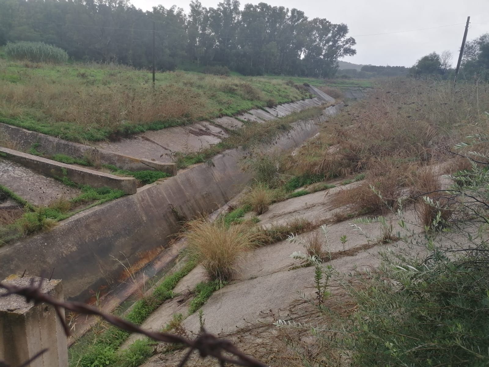 Paradosso idrico a Trapani: acqua della diga sversata nonostante la siccità. Coldiretti e Cia denunciano