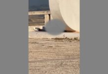 Coppia senza freni sul belvedere di Alcamo: atto sessuale in pubblico, incuranti dei passanti