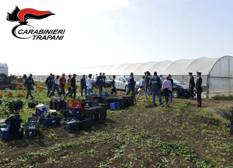 Lavoro nero e illegalità: 4 stagionali irregolari scoperti dai Carabinieri a Salemi