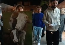 No Blood Project ad Alcamo: l’arte denuncia il consumo di carne al Festival Street Food (VIDEO)