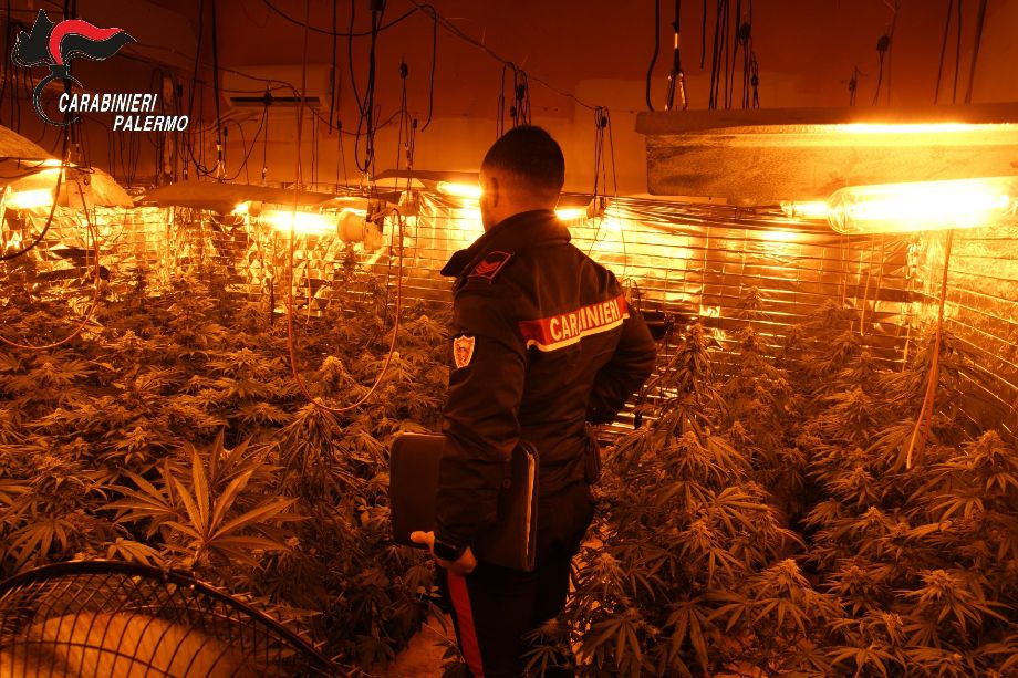 Carini, serra indoor in casa e maxi furto di energia: tre denunciati