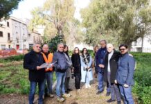 Marsala, al via i lavori per l’area sgambamento cani in zona Porticella