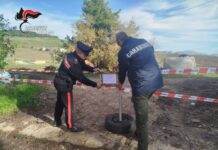 Scarichi illeciti e rischio ambientale a Partinico: denunciato imprenditore agricolo