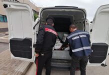 Controlli sulla sicurezza a Palermo: sequestrati 82 chili di pesce, cinque denunciati
